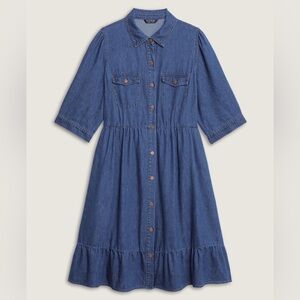 Denim Button-Down Midi Dress